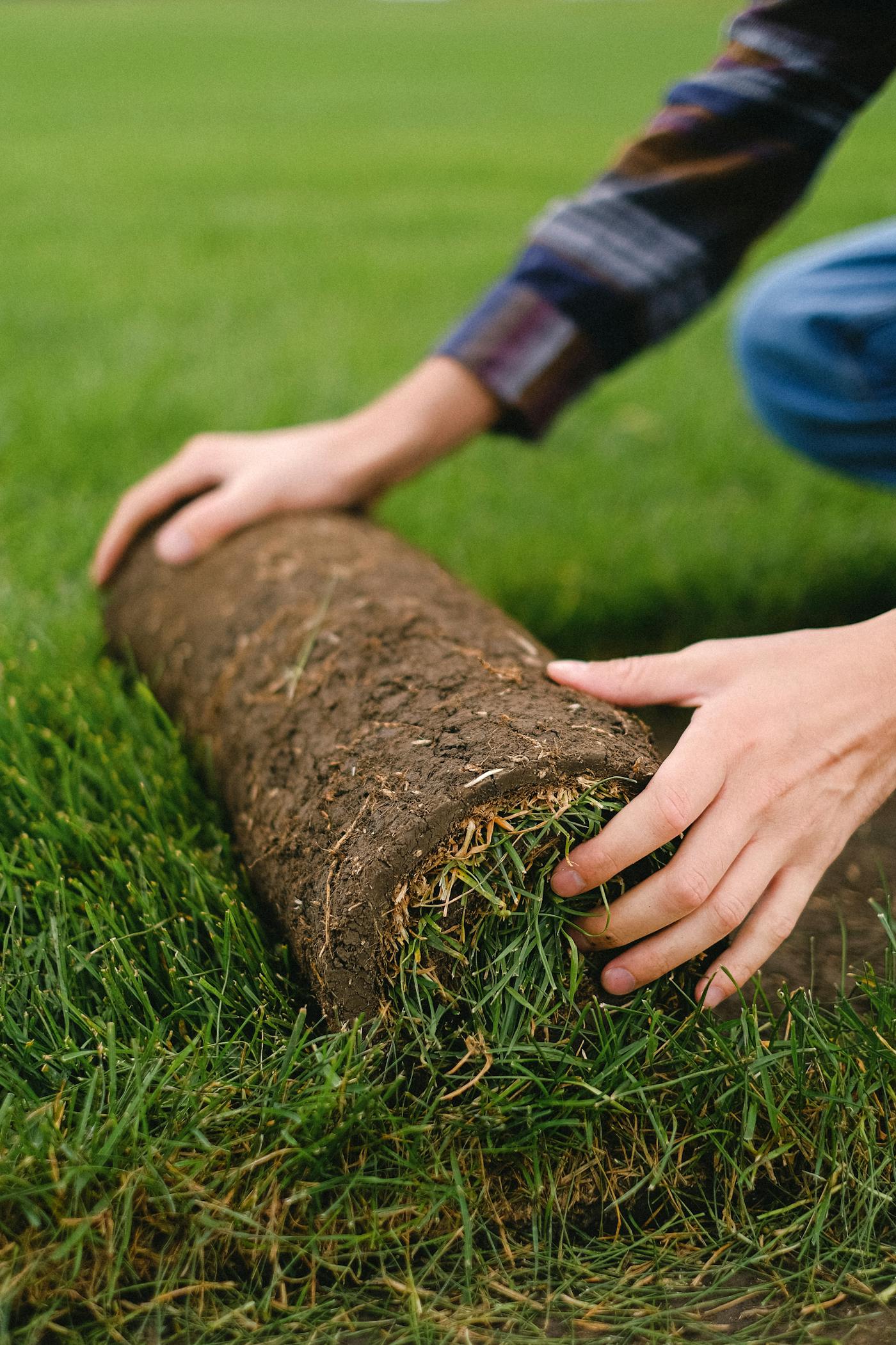 Big Easy Sod installation crew at work in New Orleans