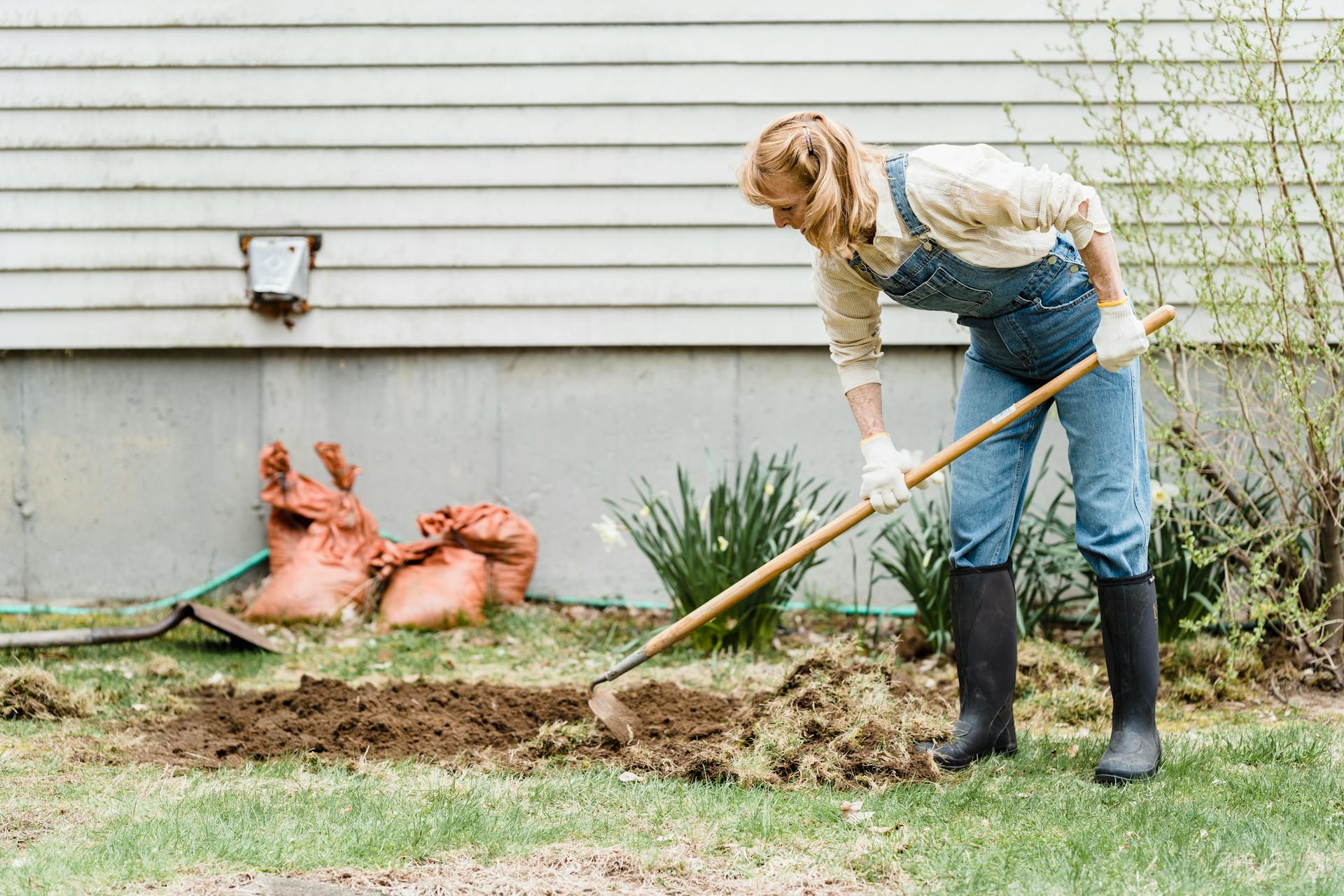 Homeowner loosening and leveling soil in a residential backyard to prepare for sod installation