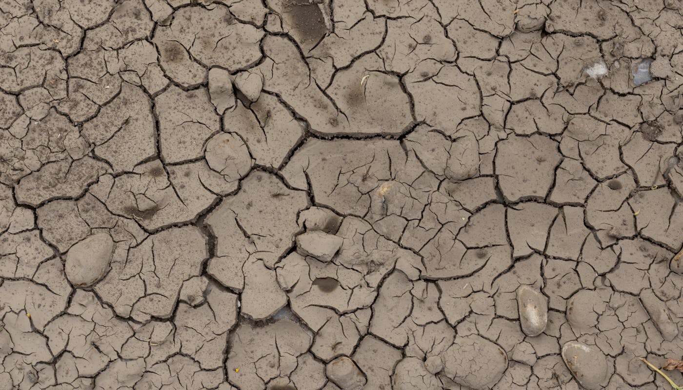 Close-up of cracked dry clay soil showing drought and compaction stress