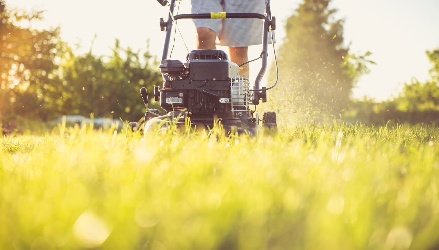 Person operating gas lawn mower for final fall grass cutting session