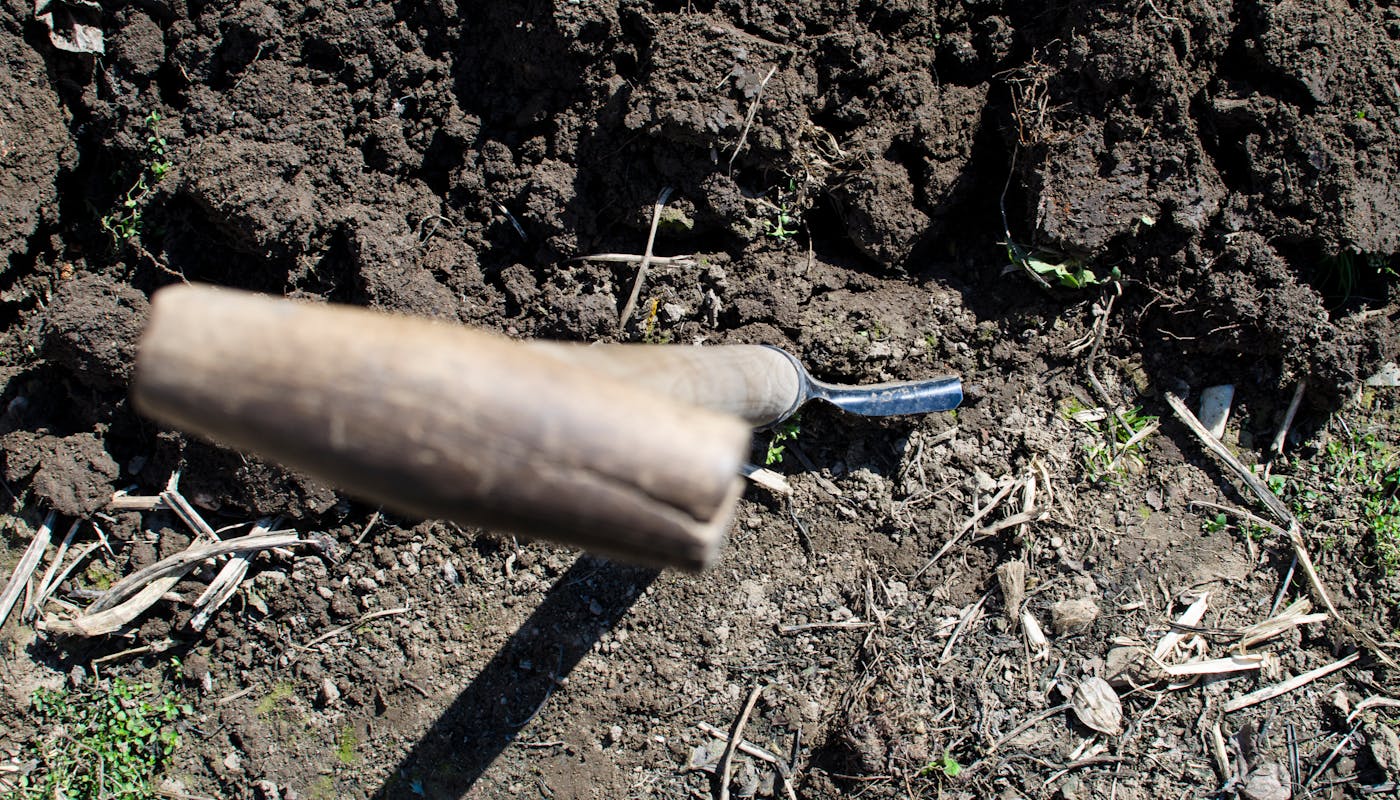Shovel in freshly turned soil close-up ideal for garden soil condition assessment