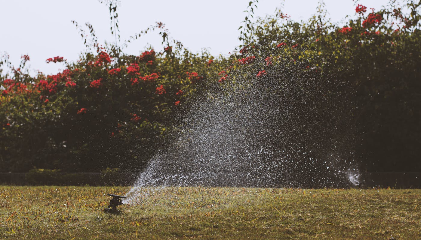 Water sprinkler irrigating vibrant green garden lawn under summer sky