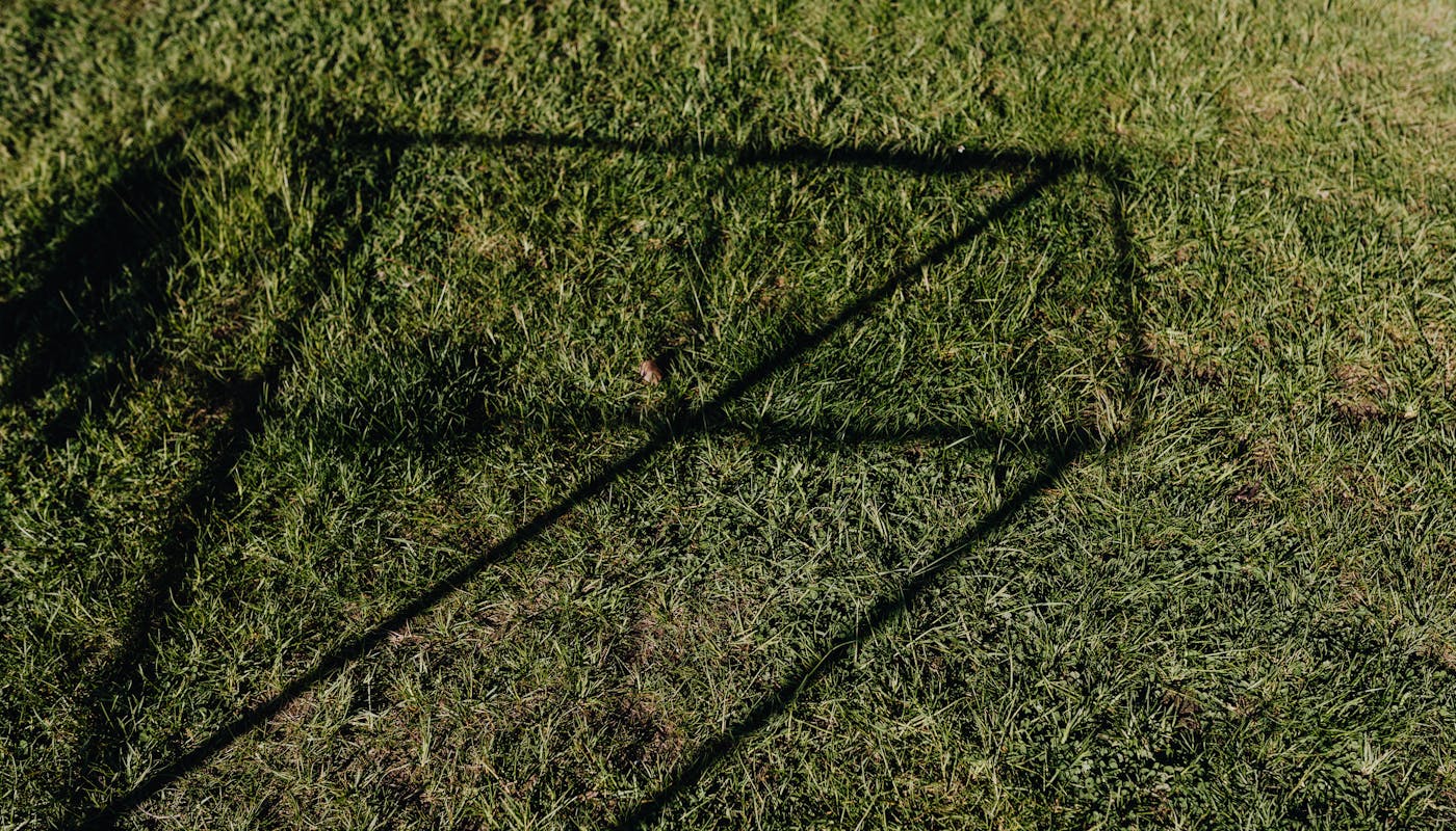 Green lawn with abstract tree shadow showing partial shade conditions for grass