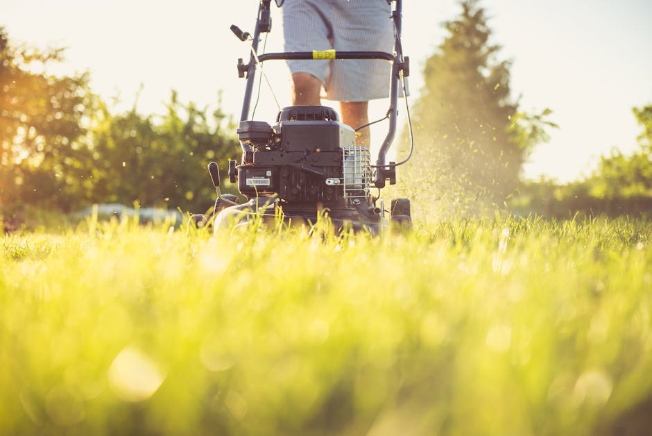 Should You DIY Sod or Hire a Pro in New Orleans?