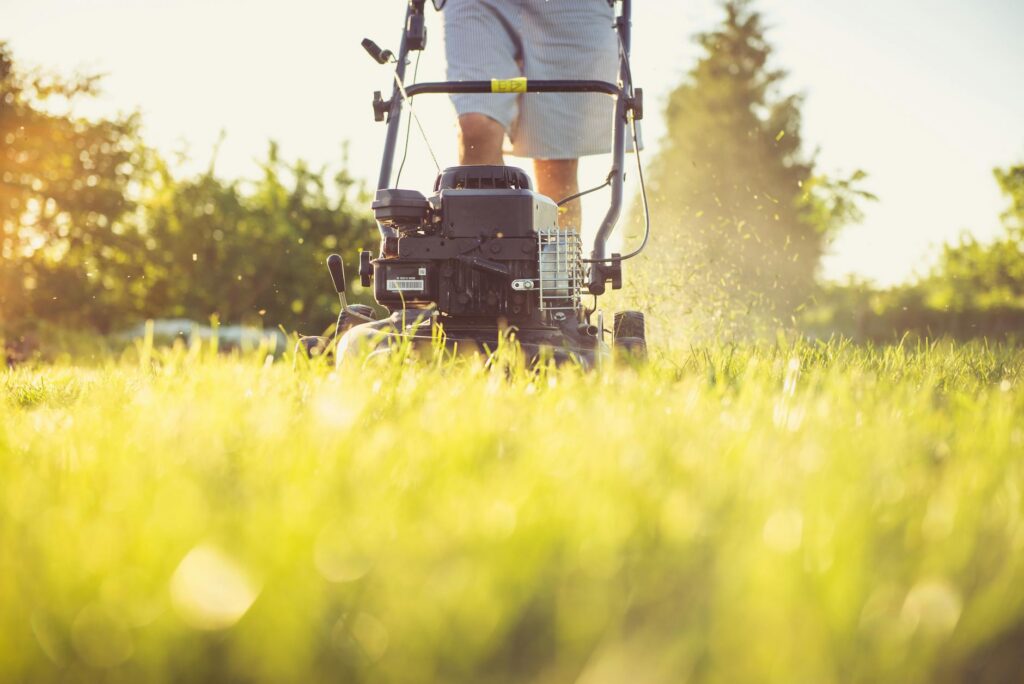 What Lawn Care Does Your New Orleans Yard Need Before Winter?