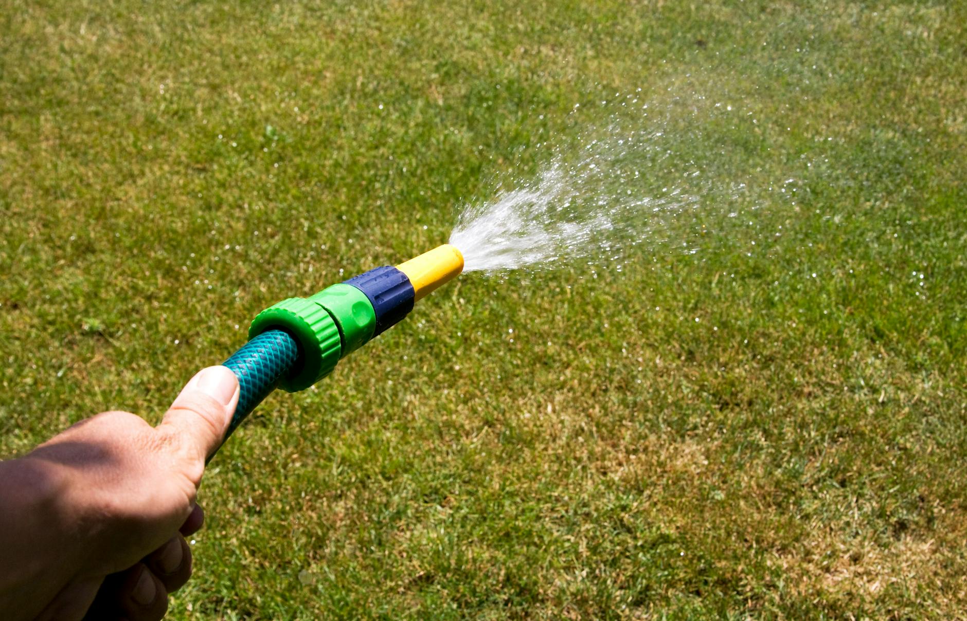 Applying fungicide treatment to prevent lawn disease in New Orleans humidity