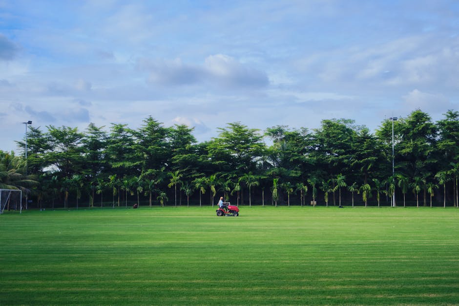 Beautiful lush lawn after professional sod installation in New Orleans