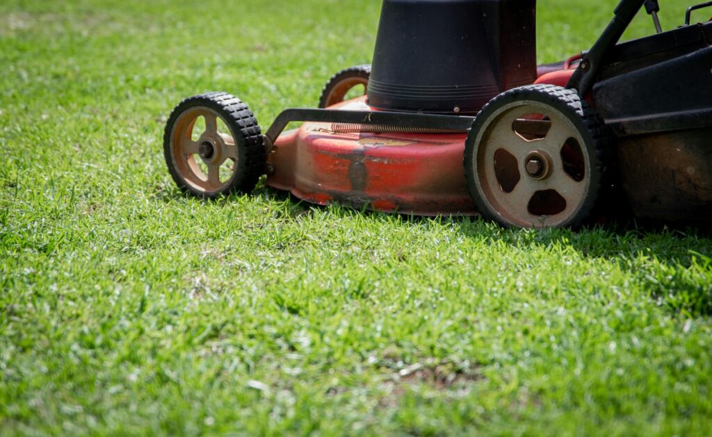 How to Fix a Patchy or Dying Lawn in New Orleans
