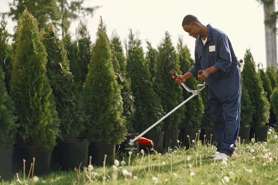 Professional landscaper installing sod with proper tools and expertise