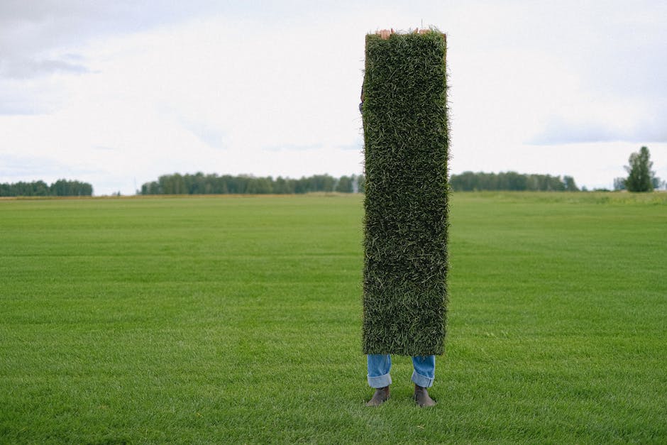 Landscaper laying sod during the optimal planting season in Louisiana
