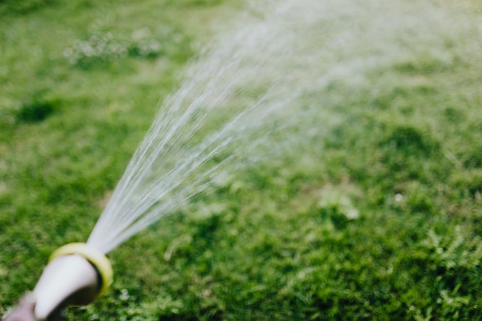 Homeowner watering new sod daily to encourage deep root growth after installation