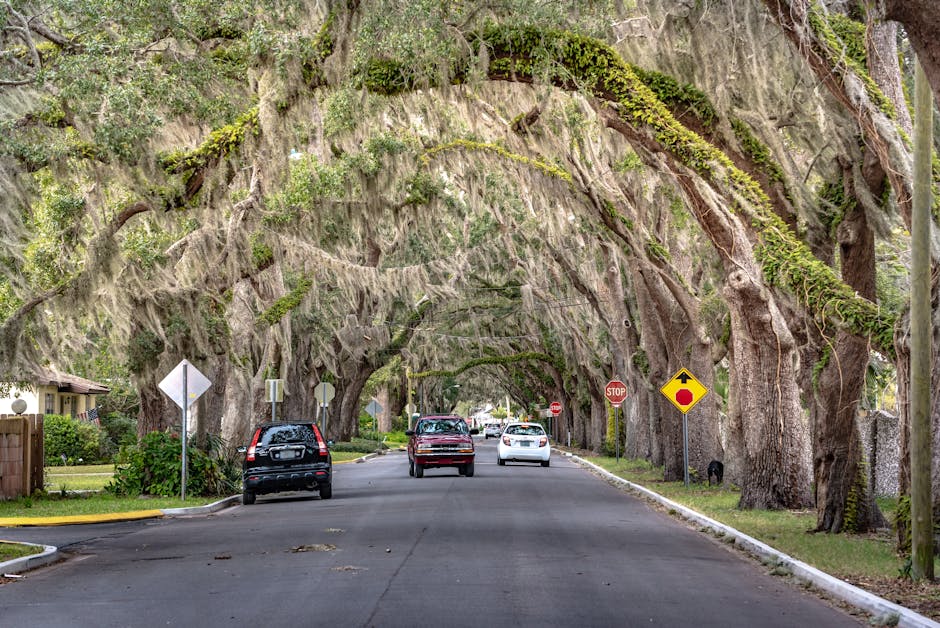 What Type of Sod Is Best for New Orleans Lawns?