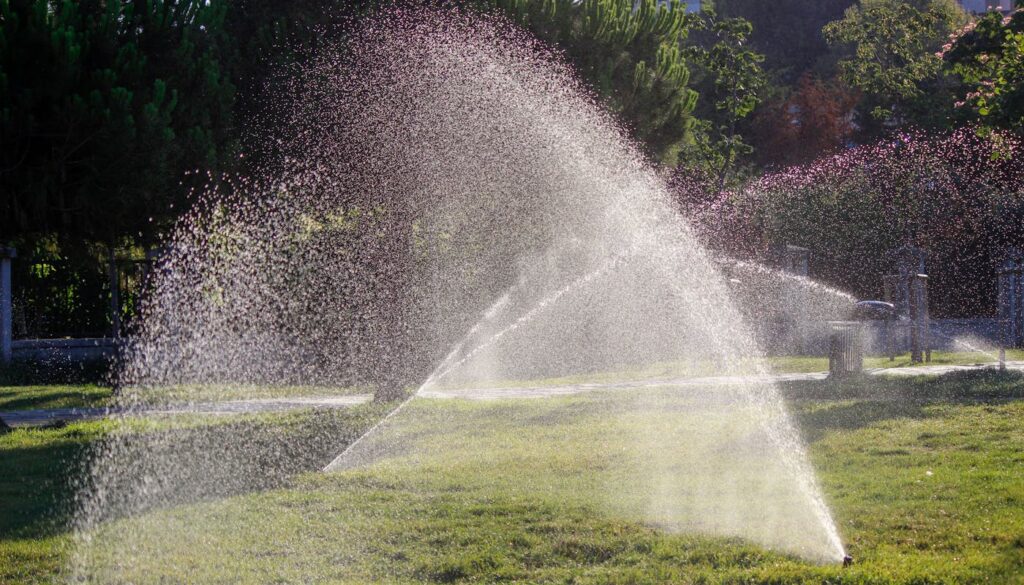 How Often Should You Water Sod in New Orleans Summer Heat?