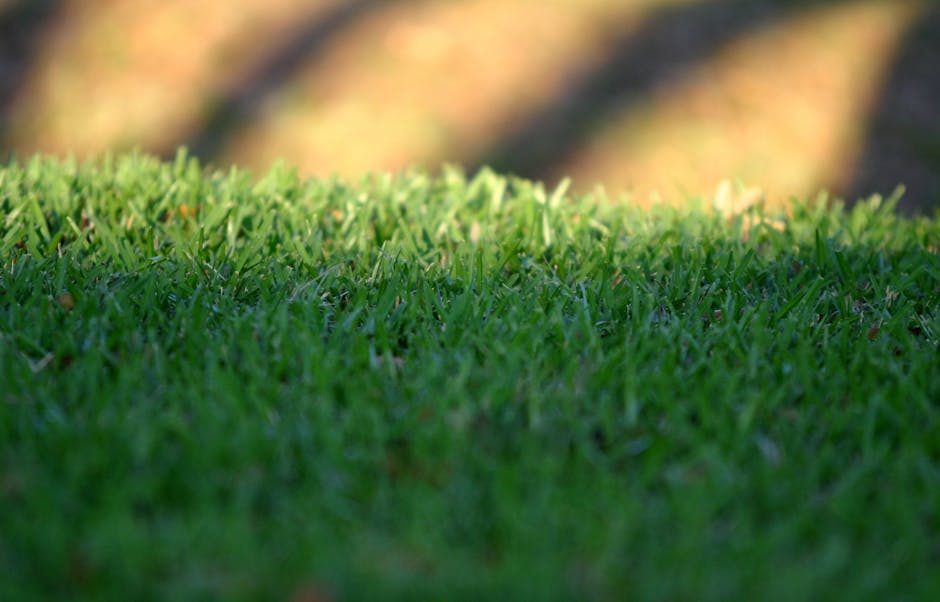 Warm-season grass sod installed on a Louisiana residential yard in late spring